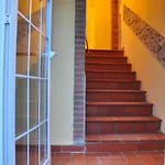 Casa Olmo Schwimmbad Und Jacuzzi- Privater Garten By Interhome Apartment Castagneto Carducci